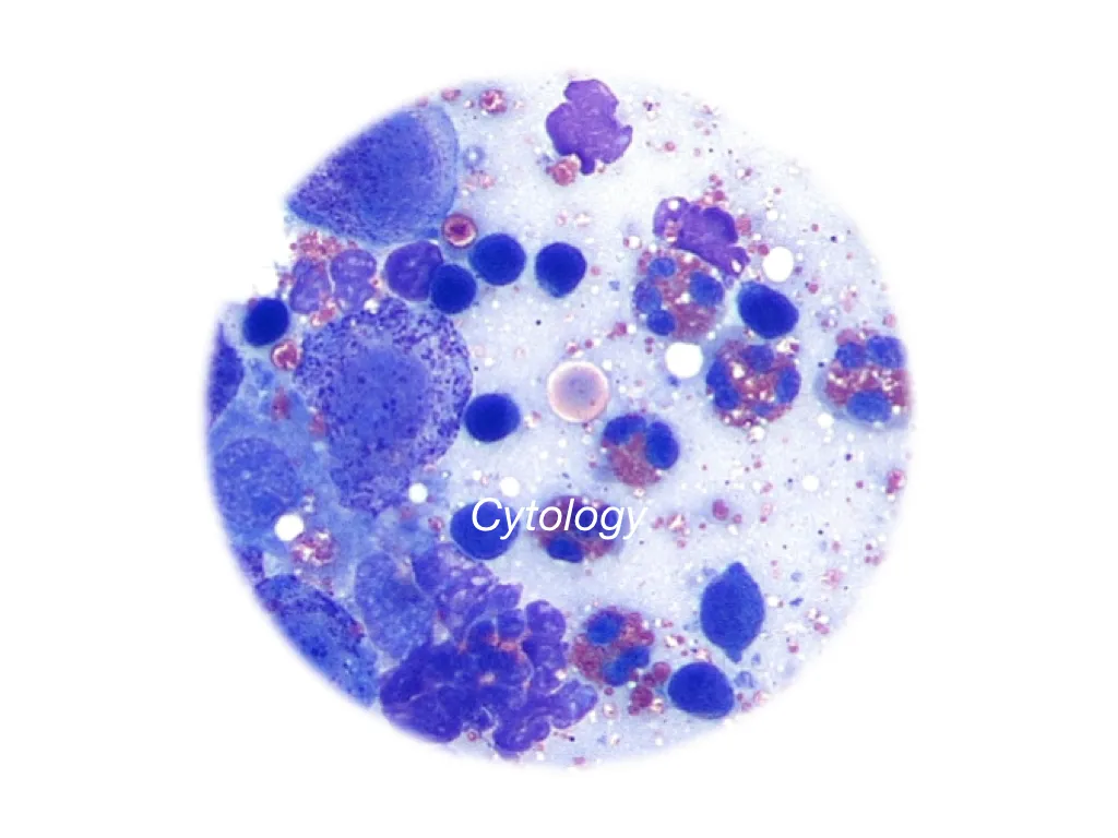 Advanced Cytology