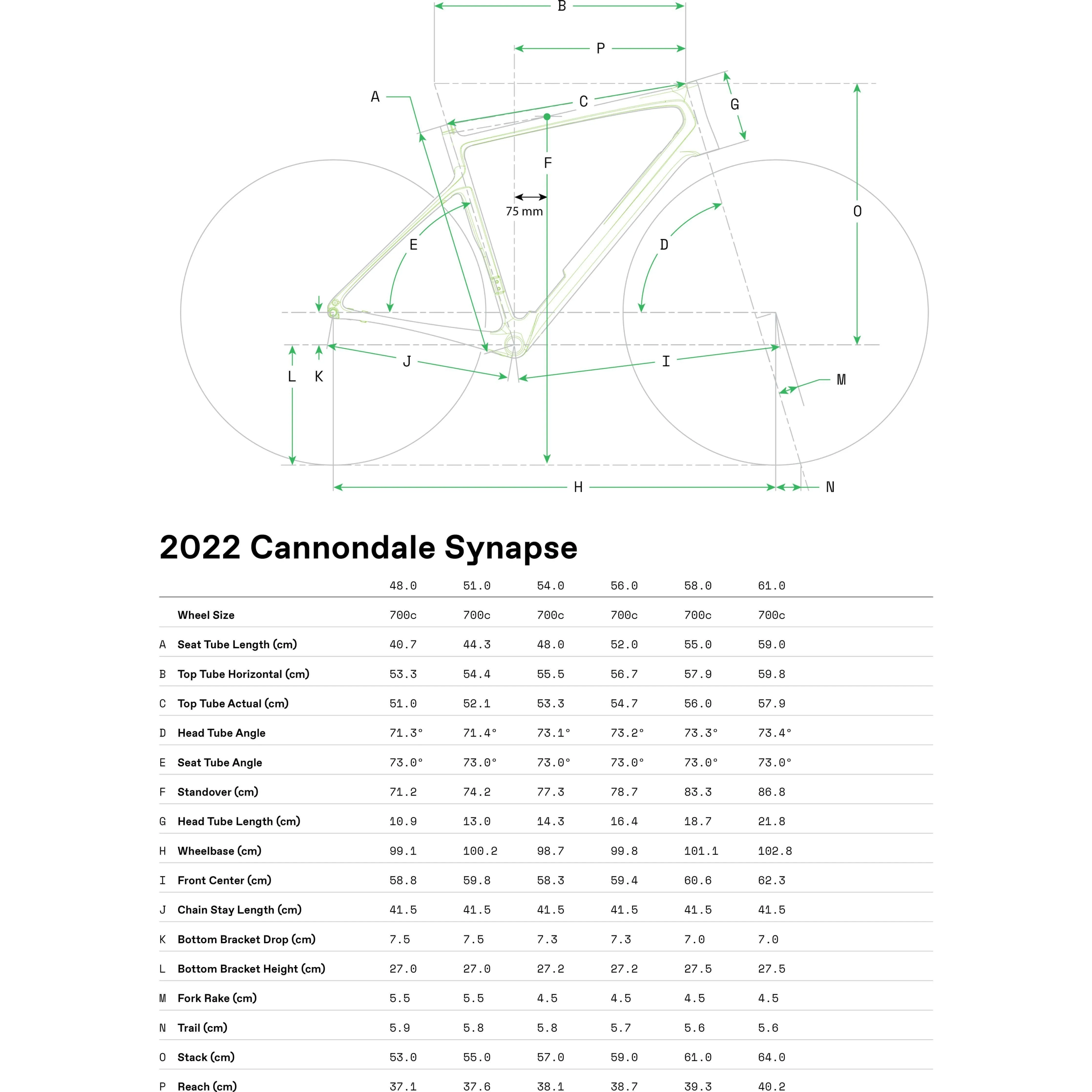 Cannondale Synapse Carbon 3 L Road Bike 2024 - Black