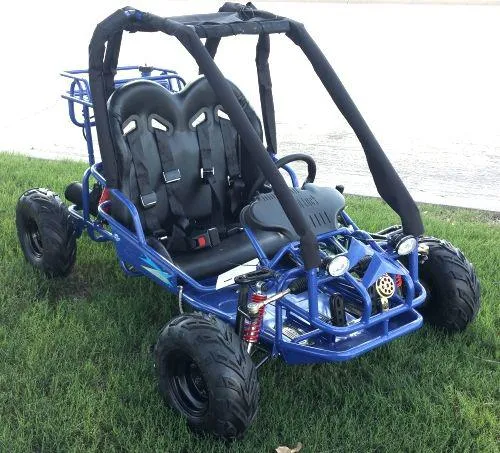 RPS GK 2 110cc Go Kart, Padded roll bars, coil over front shocks.