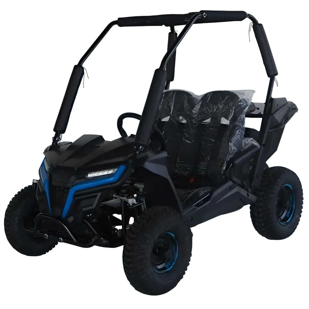 TrailMaster Cheetah 6 Youth Go-Kart - 163cc 5.5HP Engine, 4-Point Safety Belt, Remote Kill, Speed Governor, Suitable for Kids 6-12