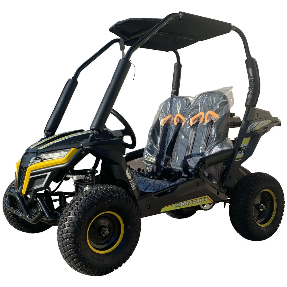 TrailMaster Cheetah 6 Youth Go-Kart - 163cc 5.5HP Engine, 4-Point Safety Belt, Remote Kill, Speed Governor, Suitable for Kids 6-12