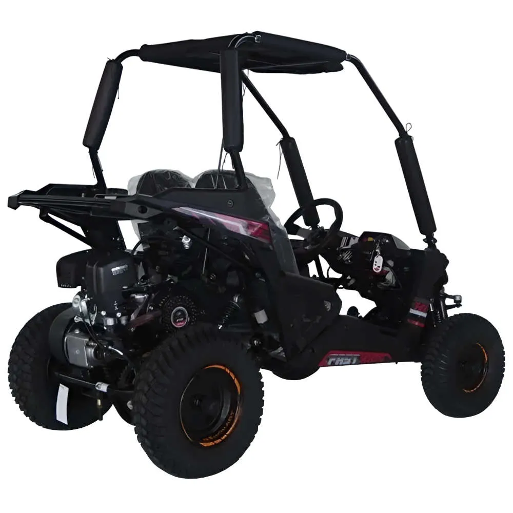 TrailMaster Cheetah 6 Youth Go-Kart - 163cc 5.5HP Engine, 4-Point Safety Belt, Remote Kill, Speed Governor, Suitable for Kids 6-12