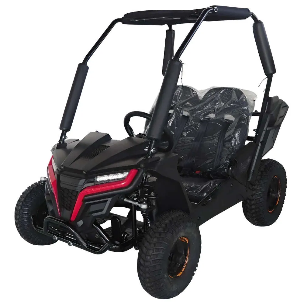 TrailMaster Cheetah 6 Youth Go-Kart - 163cc 5.5HP Engine, 4-Point Safety Belt, Remote Kill, Speed Governor, Suitable for Kids 6-12